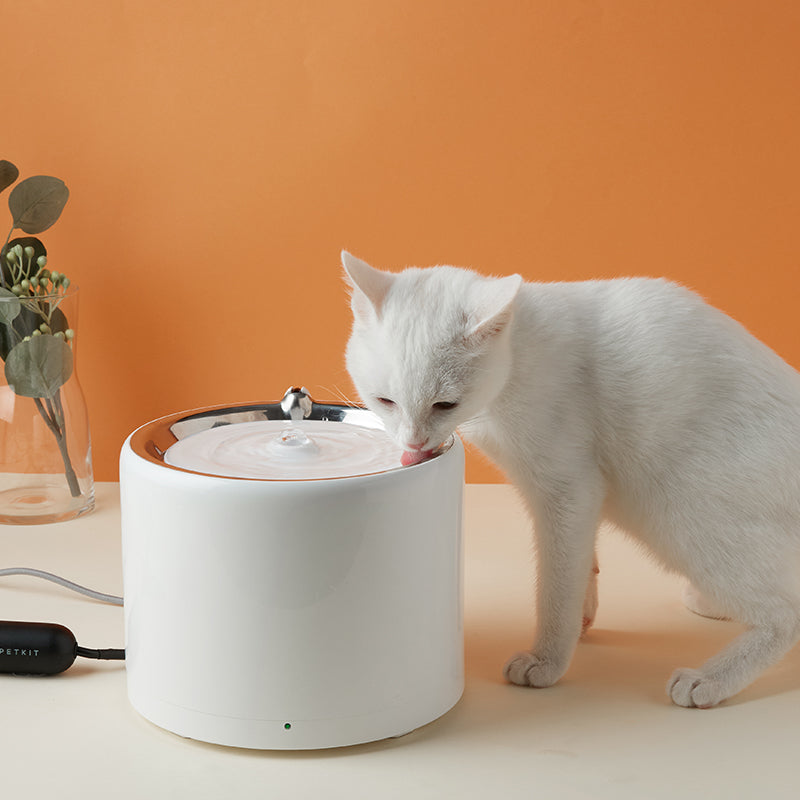 Eversweet 3 PRO  Smart Pet Drinking Fountain