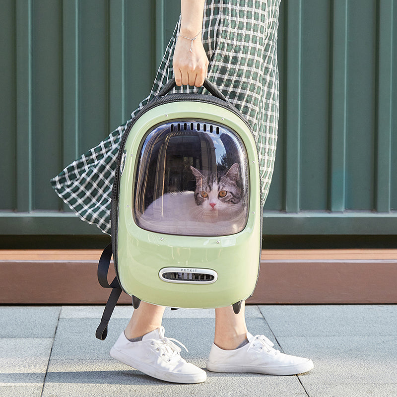 Breezy Smart Cat Carrier