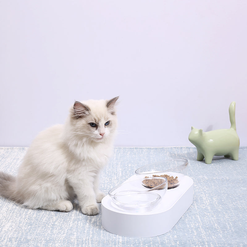 Fresh Nano 15° Adjustable Cat Feeding Bowl