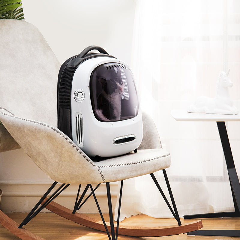 Breezy Smart Cat Carrier