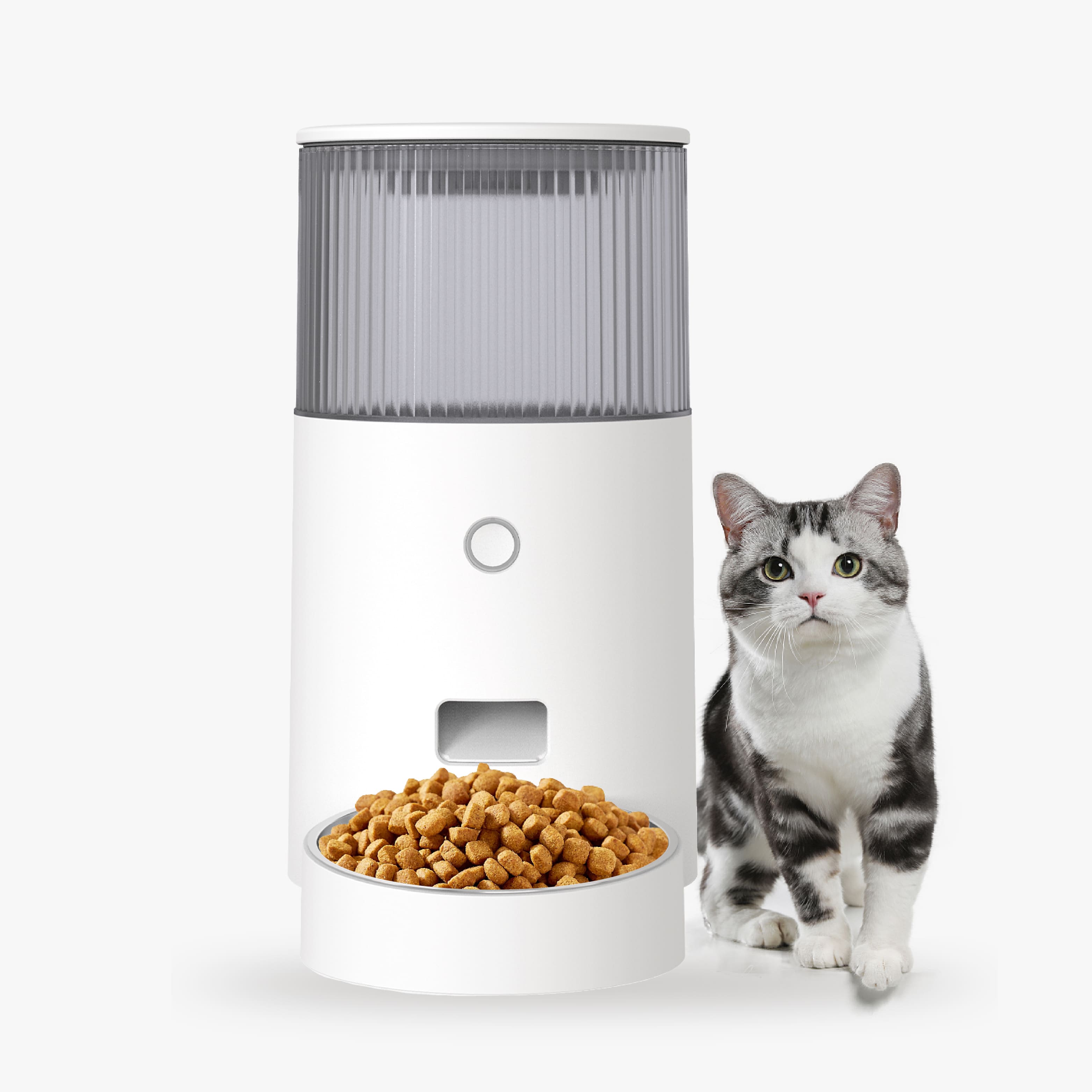 Automatic Cat Feeder MINI