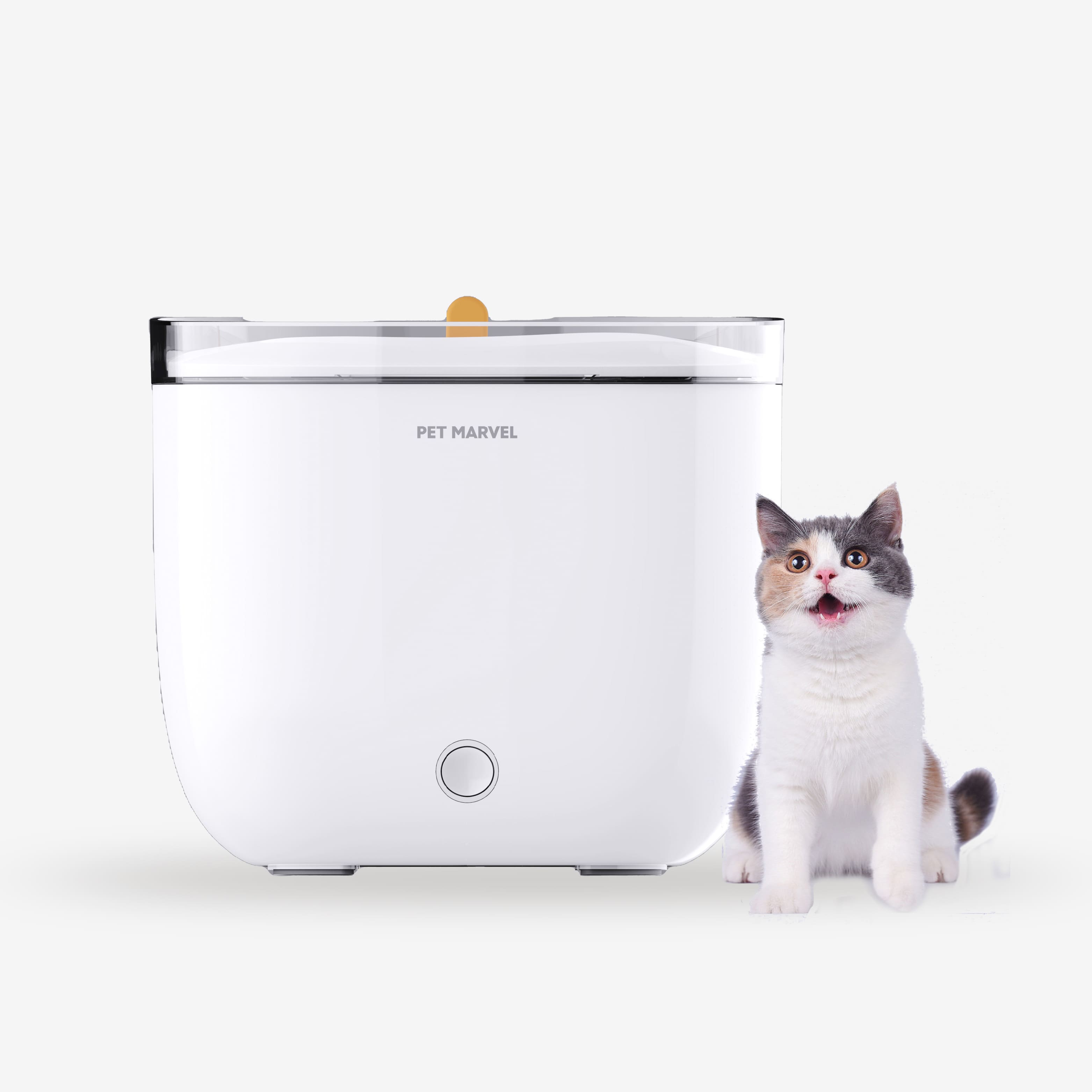 Automatic Cat Water Fountain