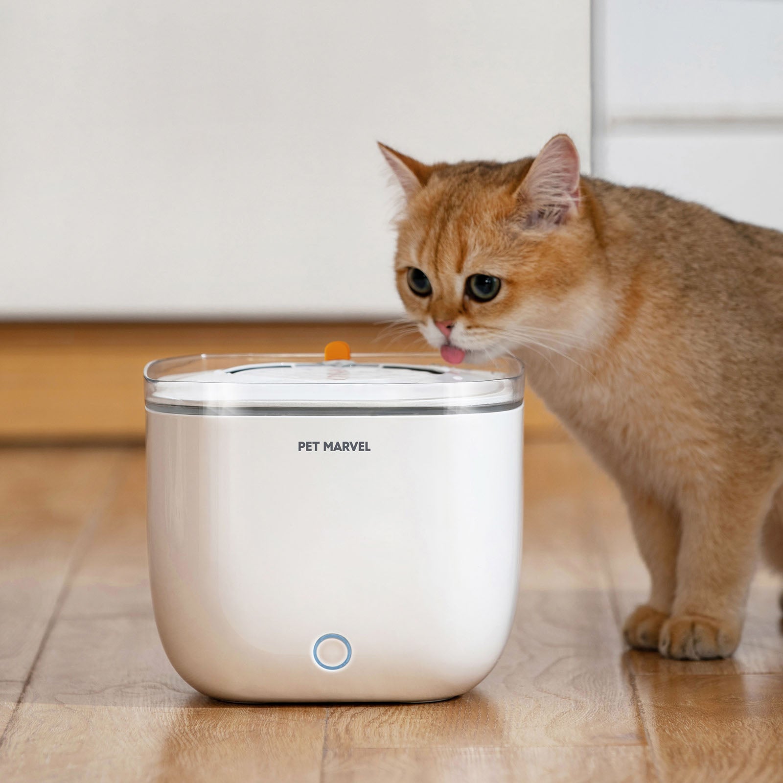 Automatic Cat Water Fountain