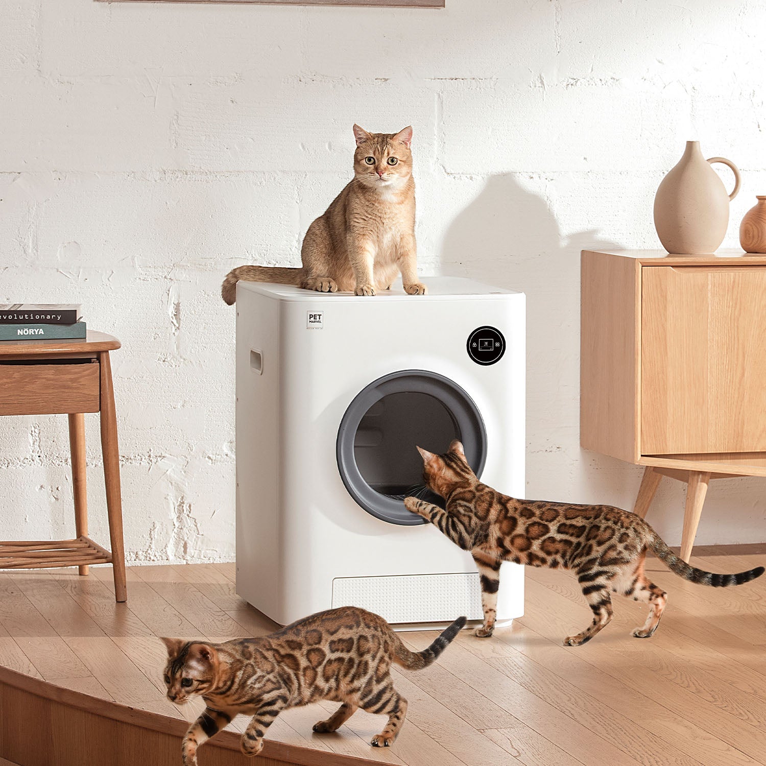 Automatic Cat Litter Cube