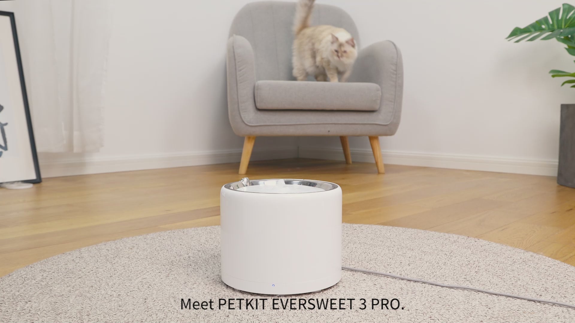 Eversweet 3 PRO  Smart Pet Drinking Fountain